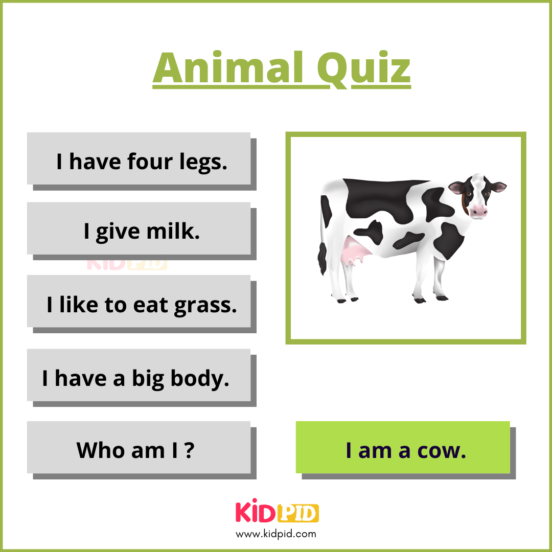 Cow-Animal Quiz