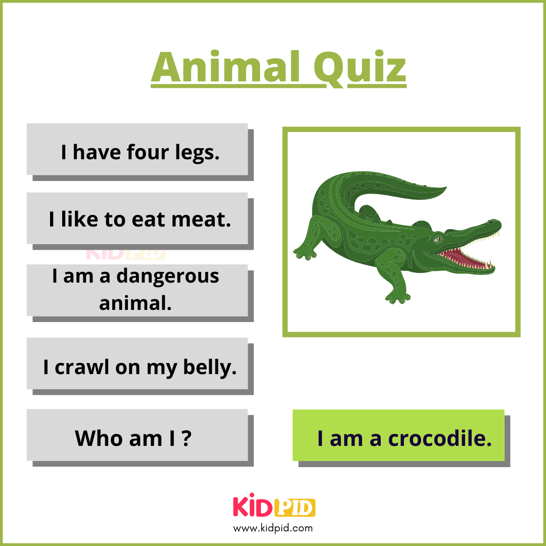 Crocodile-Animal Quiz