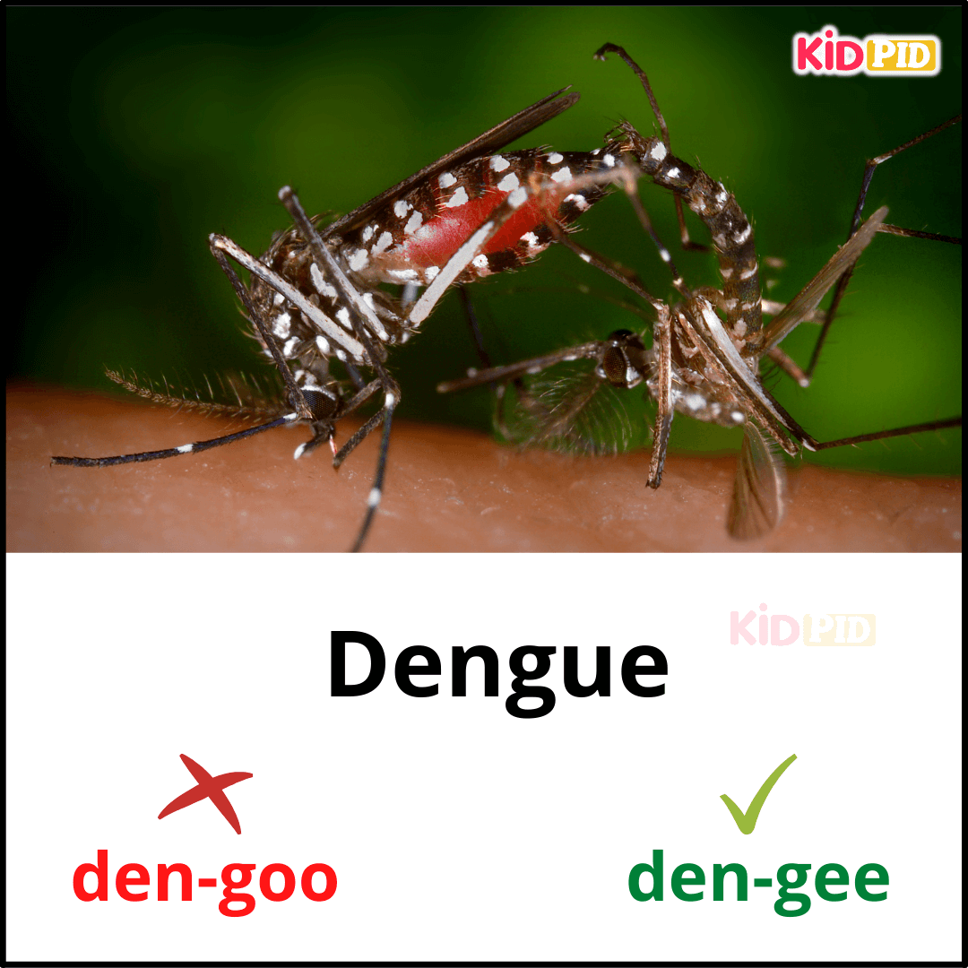 Dengue-English Pronunciation Practice