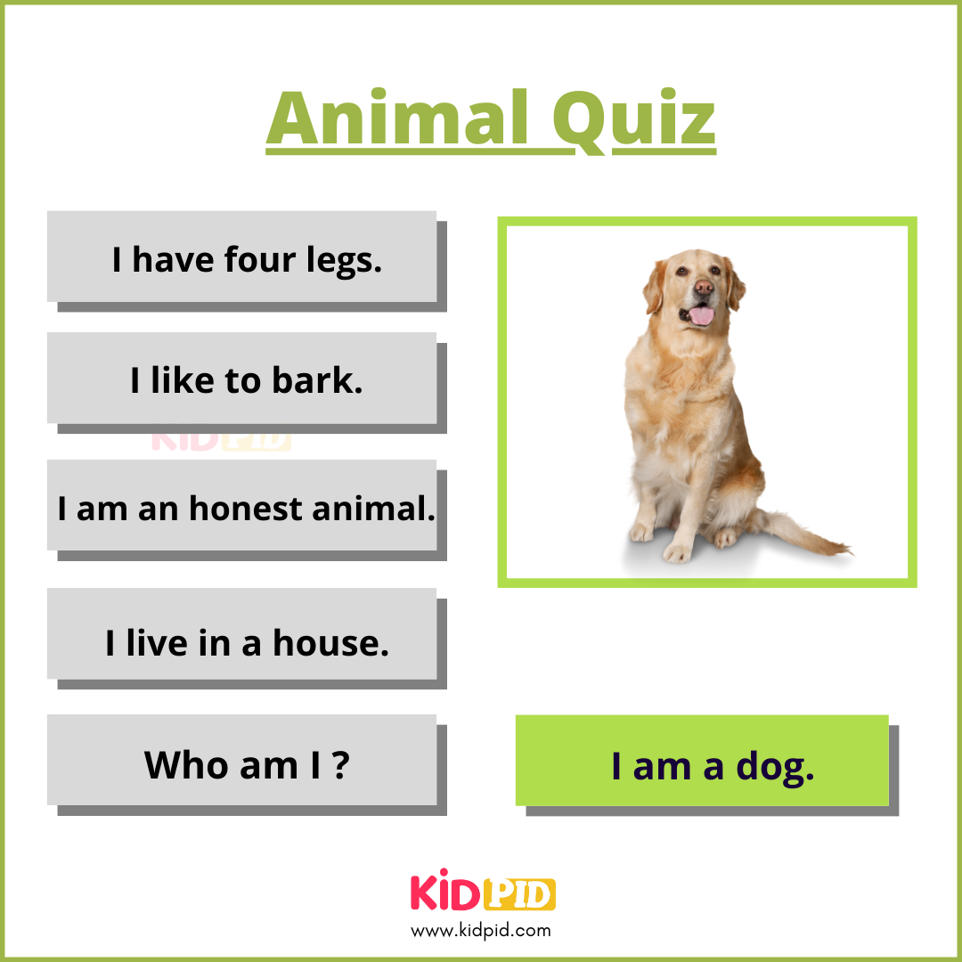 Dog-Animal Quiz