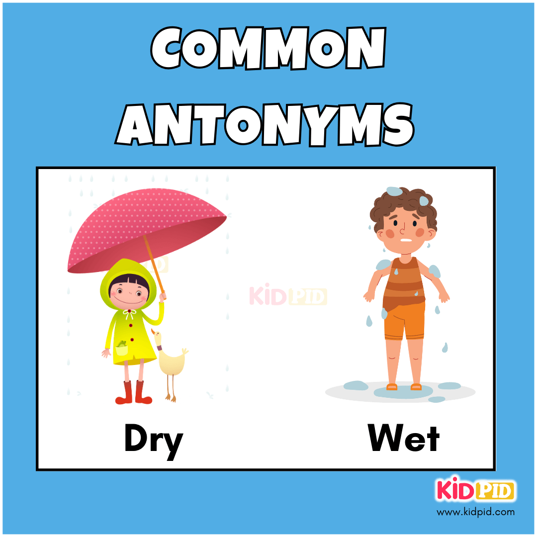 Dry - Wet - Common Antonyms
