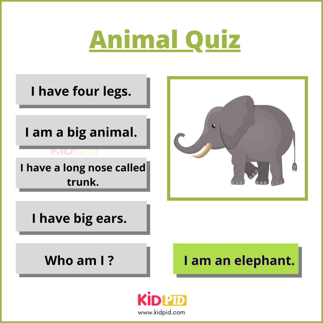Elephant-Animal Quiz