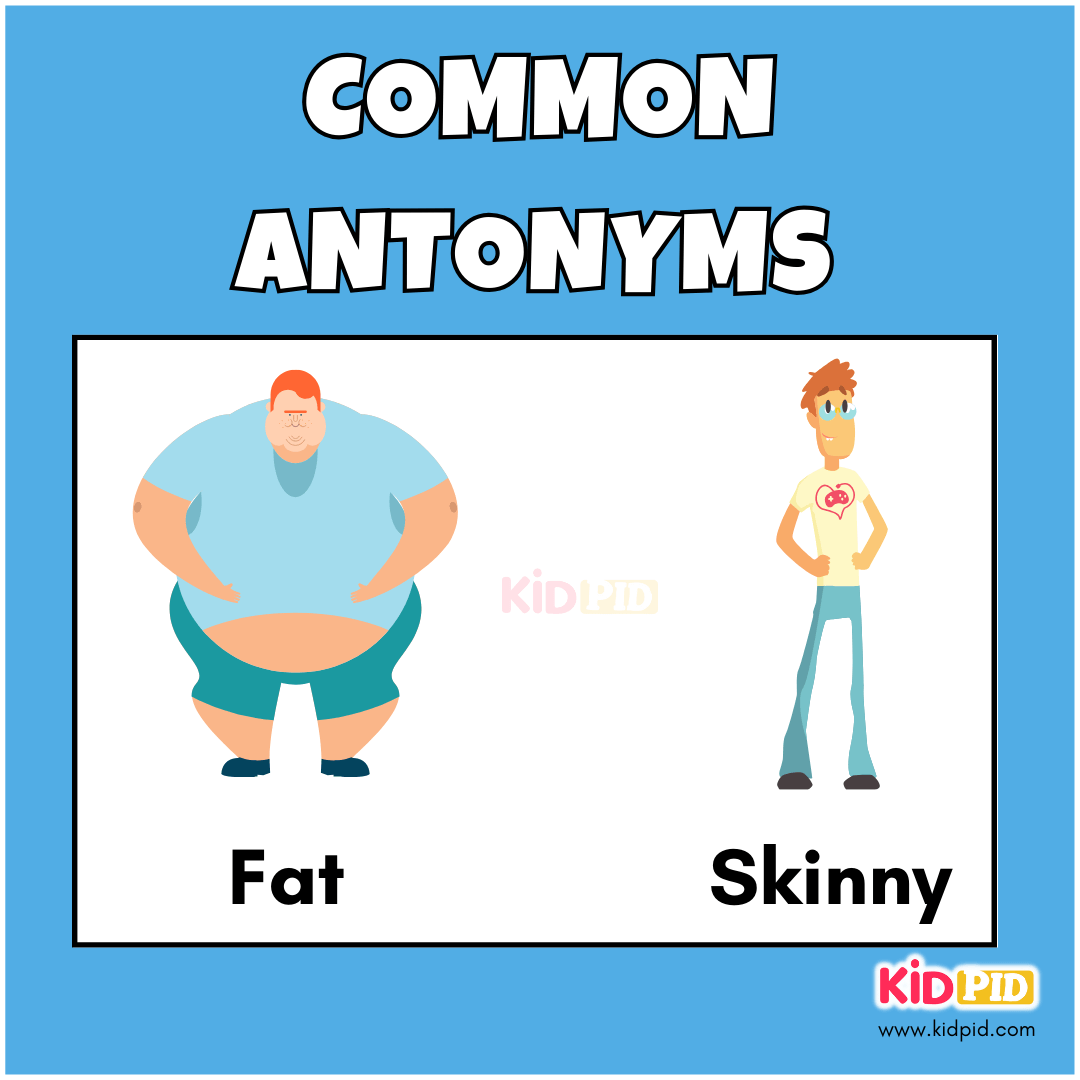 Fat - Skinny - Common Antonyms