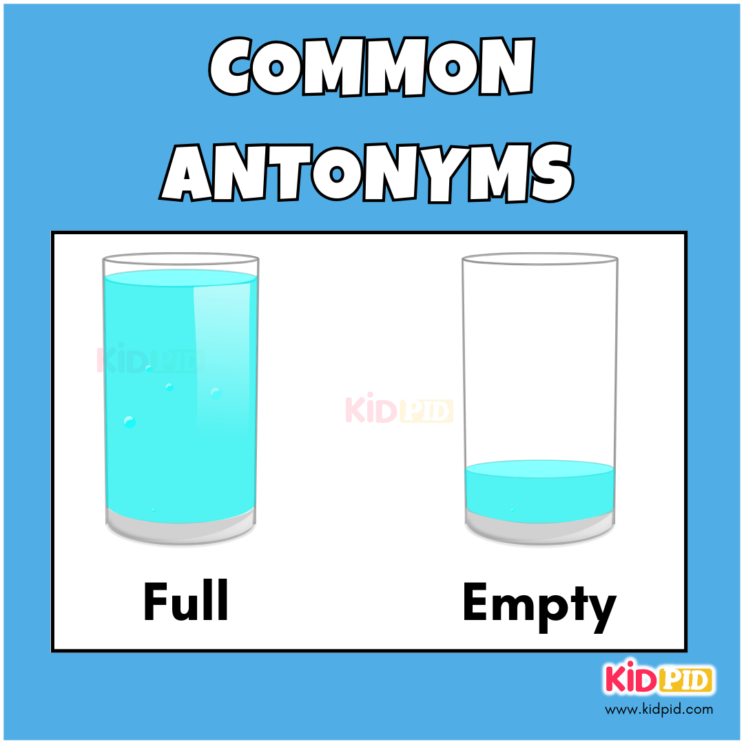 Full - Empty - Common Antonyms