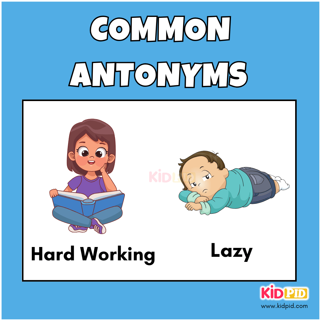 Hard Working - Lazy - Common Antonyms