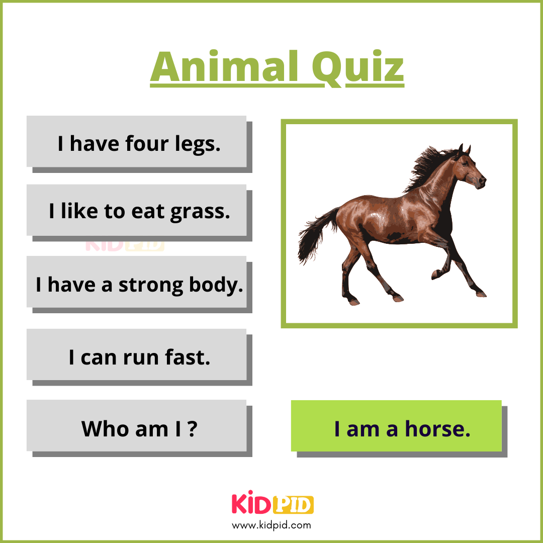Horse-Animal Quiz