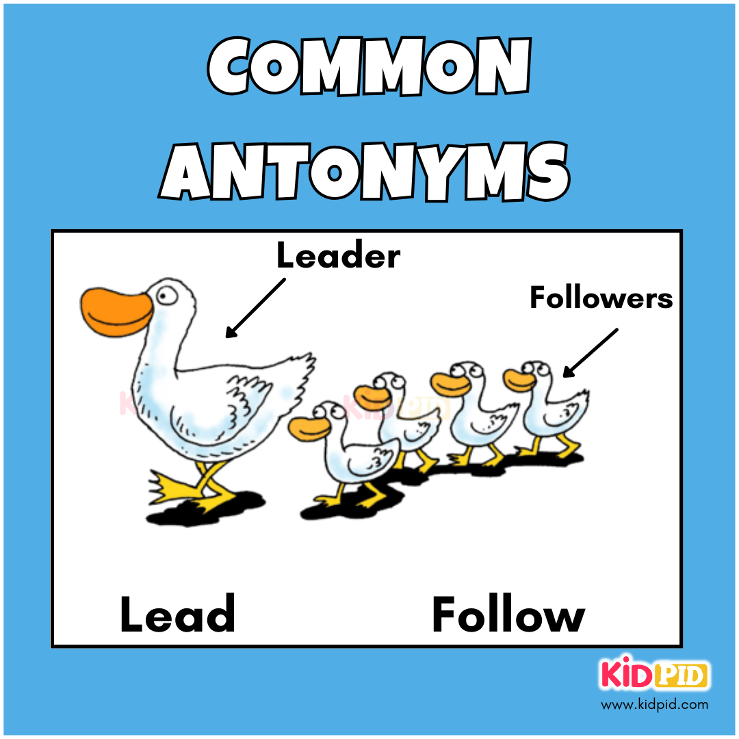 Lead - Follow - Common Antonyms