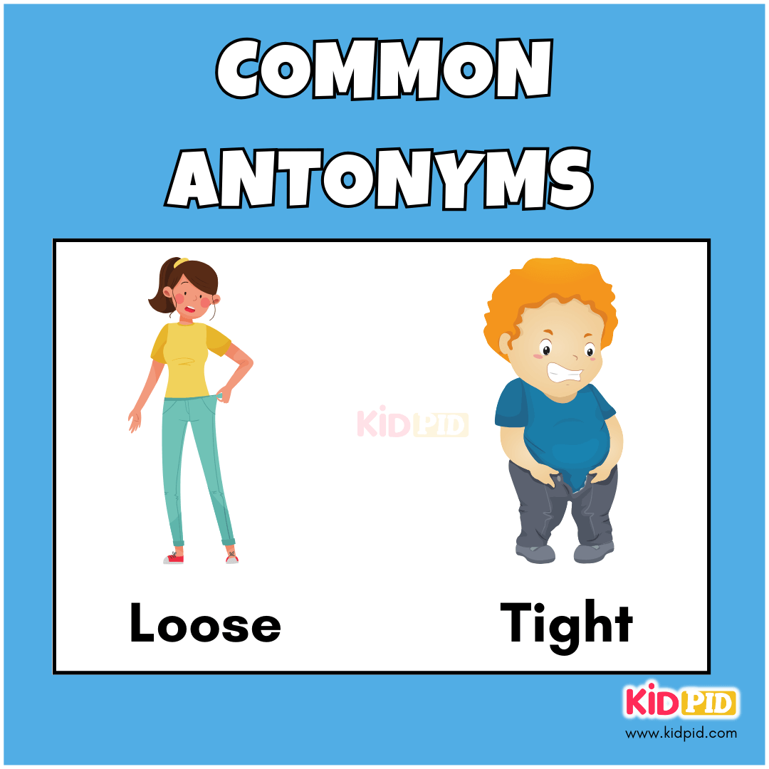Loose - Tight - Common Antonyms