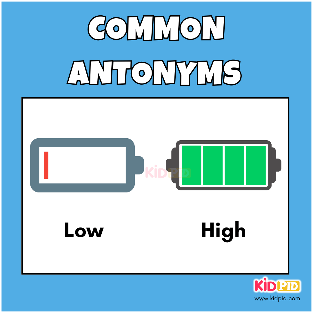 Low - High - Common Antonyms