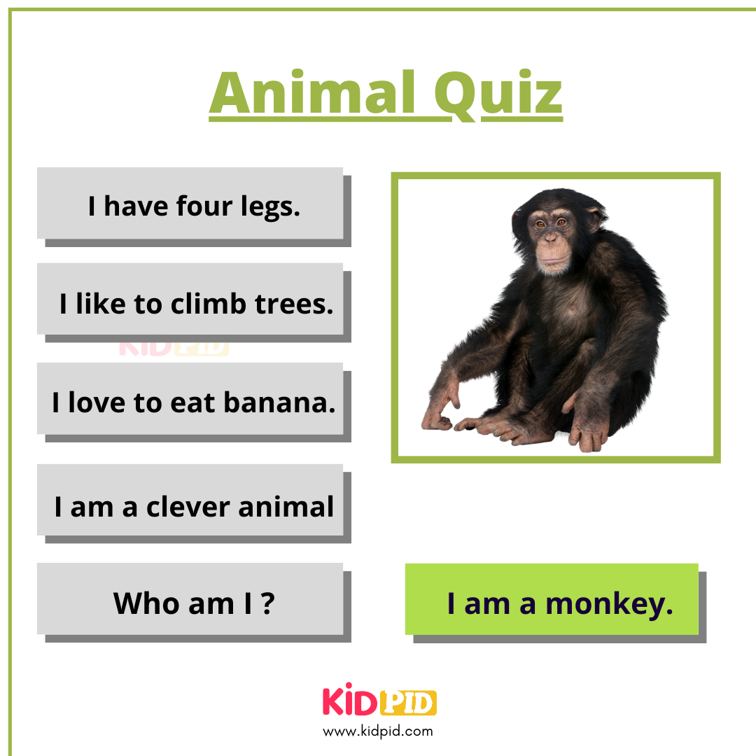 Monkey-Animal Quiz