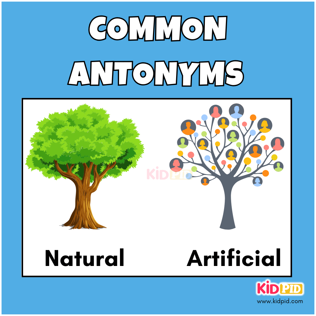 Natural - Artificial - Common Antonyms