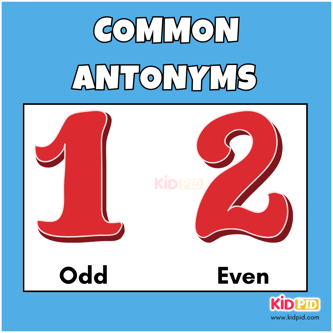 Odd-Even-Common Antonyms