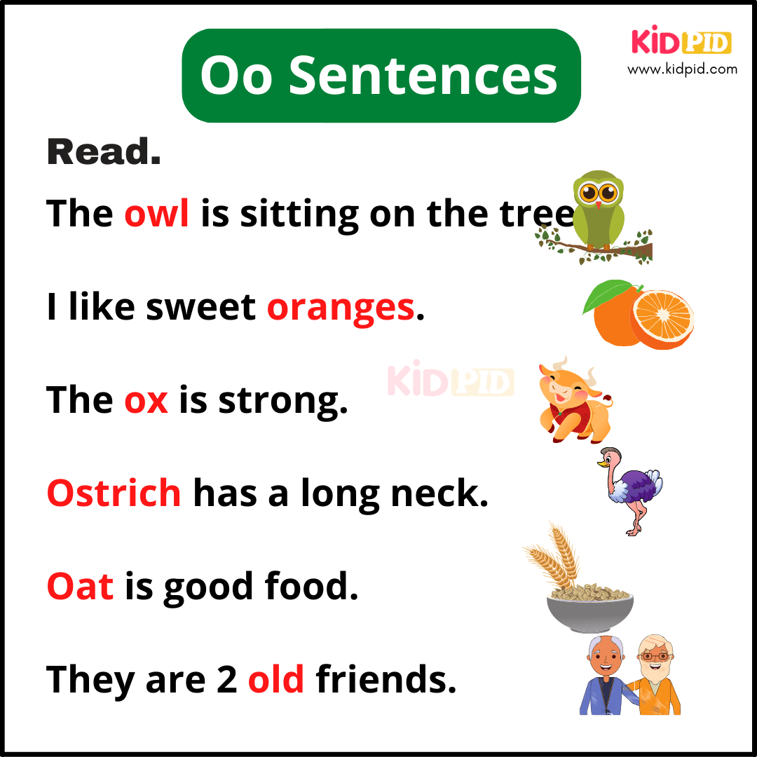 Oo Sentences - A-Z Sentences Writing For Kids