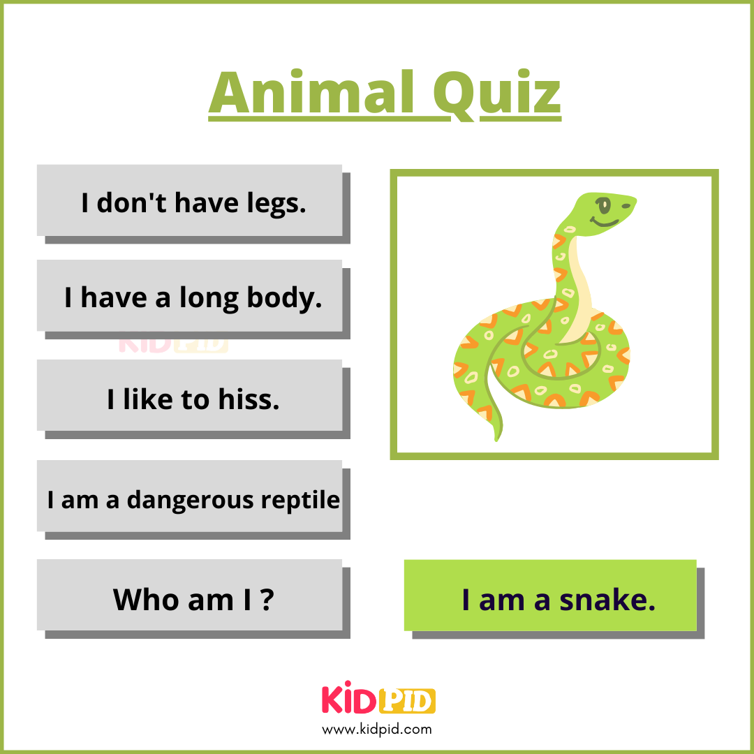 Snake -Animal Quiz