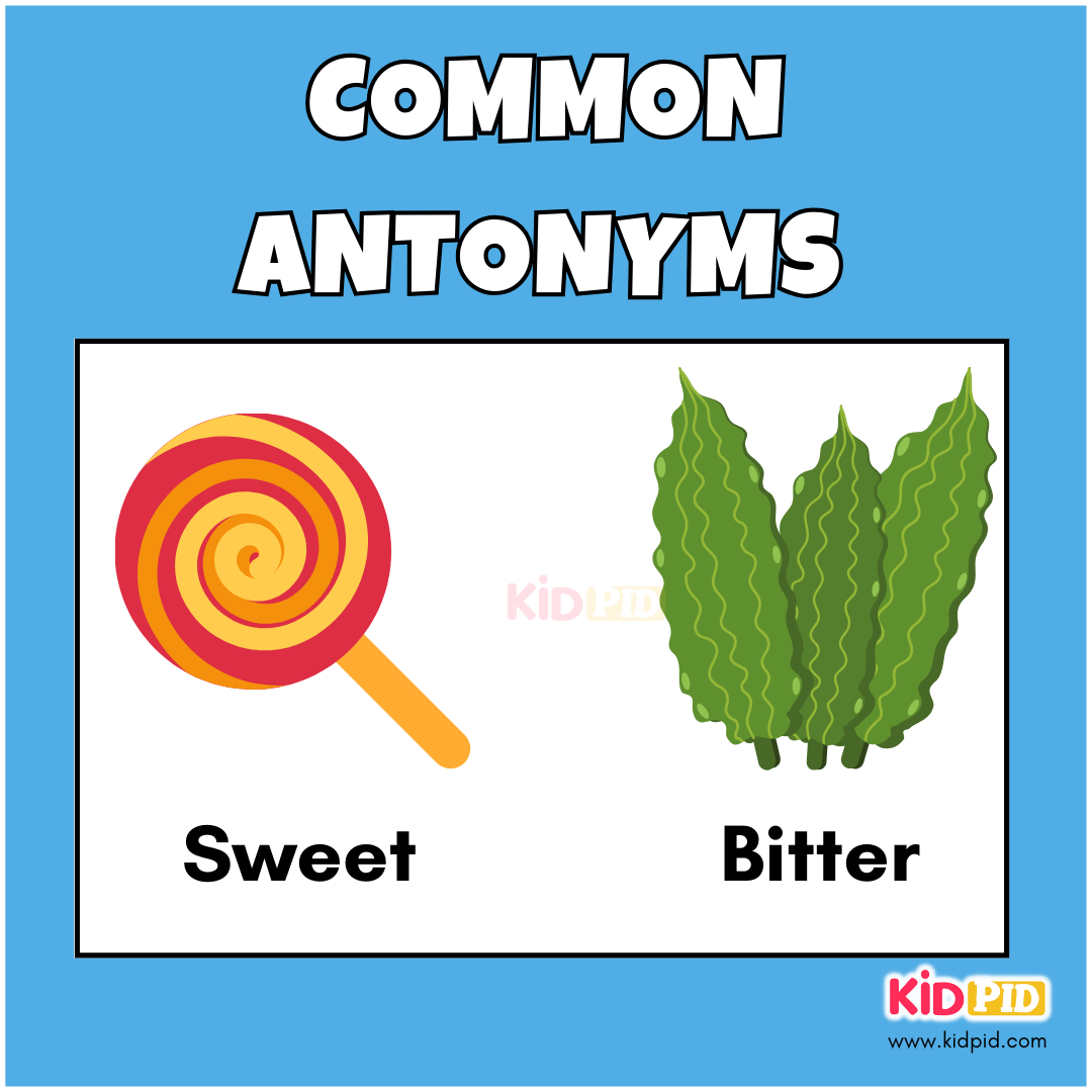 Sweet-Bitter-Common Antonyms