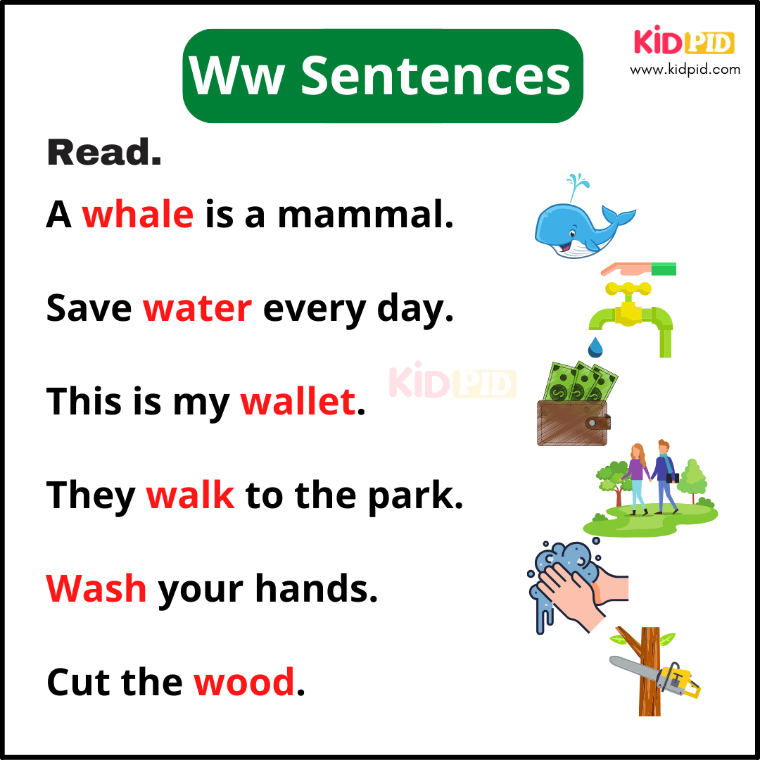 Ww Sentences - A-Z Sentences Writing For Kids