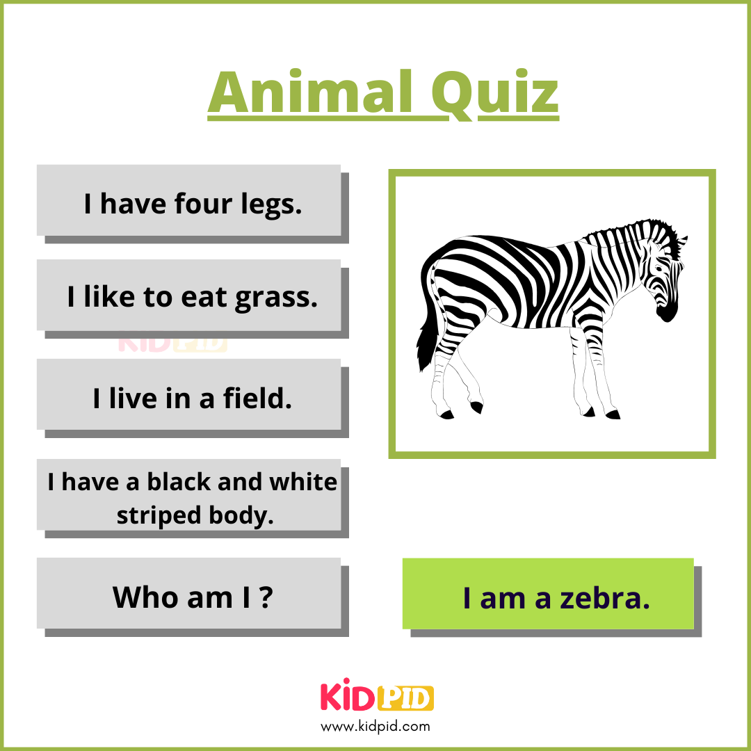 Zebra-Animal Quiz