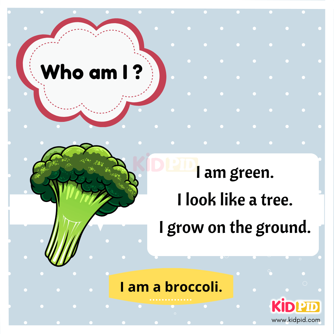 Broccoli - Vegetable Riddle