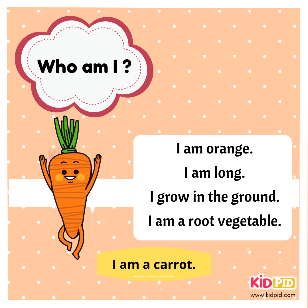 Carrot - Vegetable Riddle
