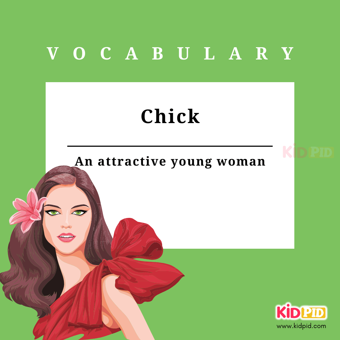 chick-Vocabulary-English Phrases