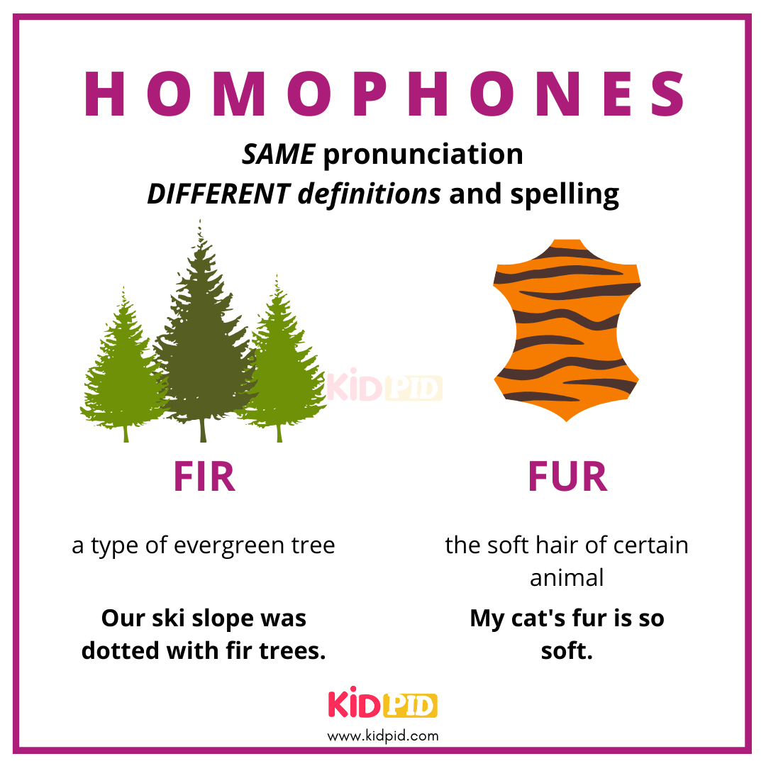 Fir VS Fur - Homophones