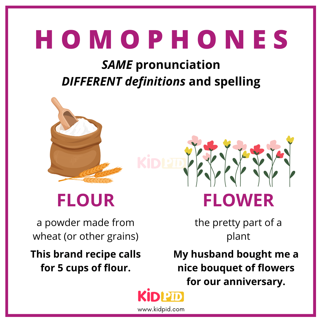 Flour VS Flower - Homophones