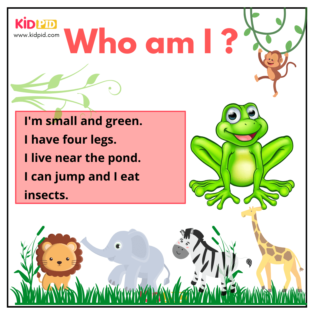 Frog - Animal Riddle