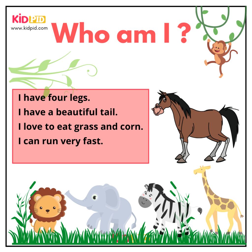 Animal Riddles Kidpid