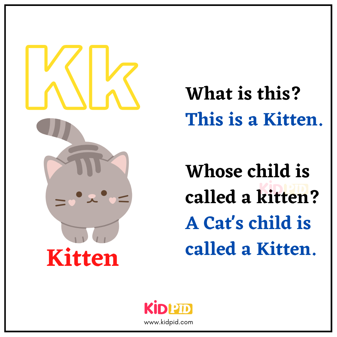 K for Kitten - Learn with Alphabets