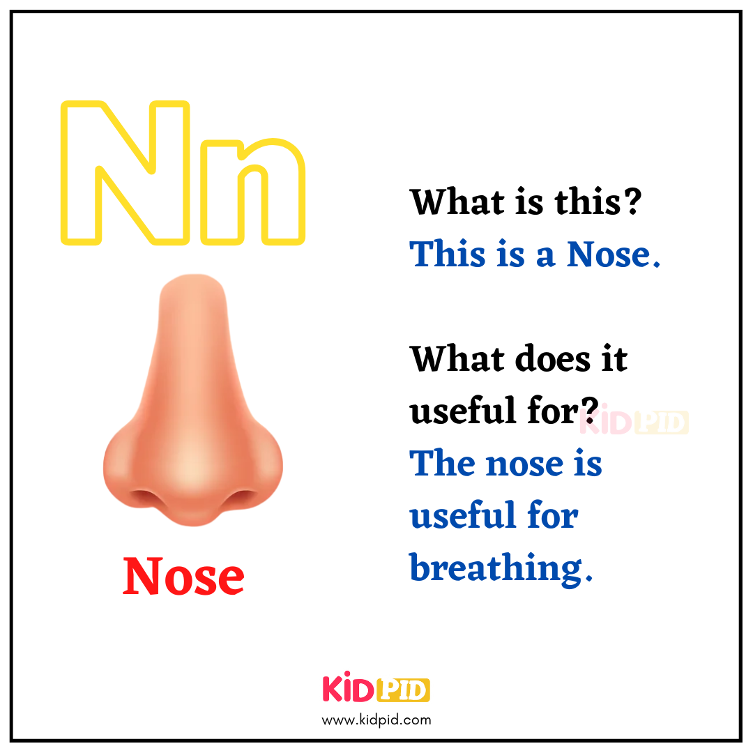 N for Nose - Learn with Alphabets