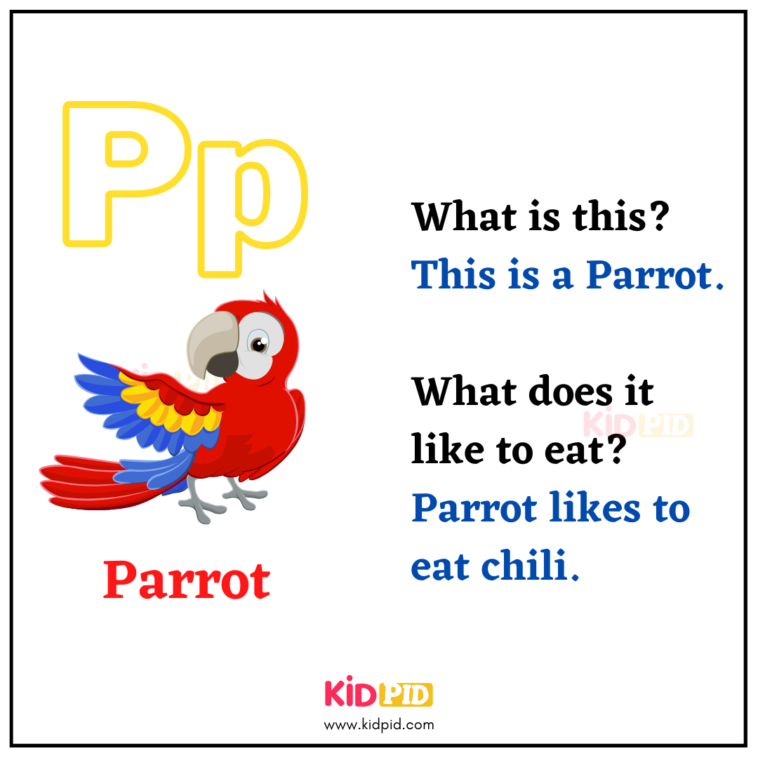P for Parrot - Learn with Alphabets