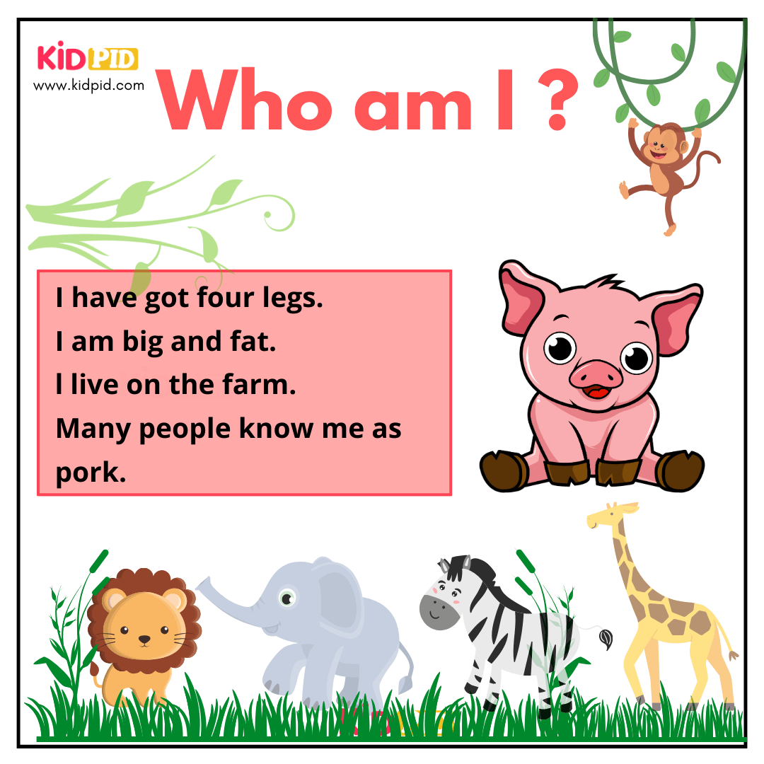 Pig - Animal Riddle