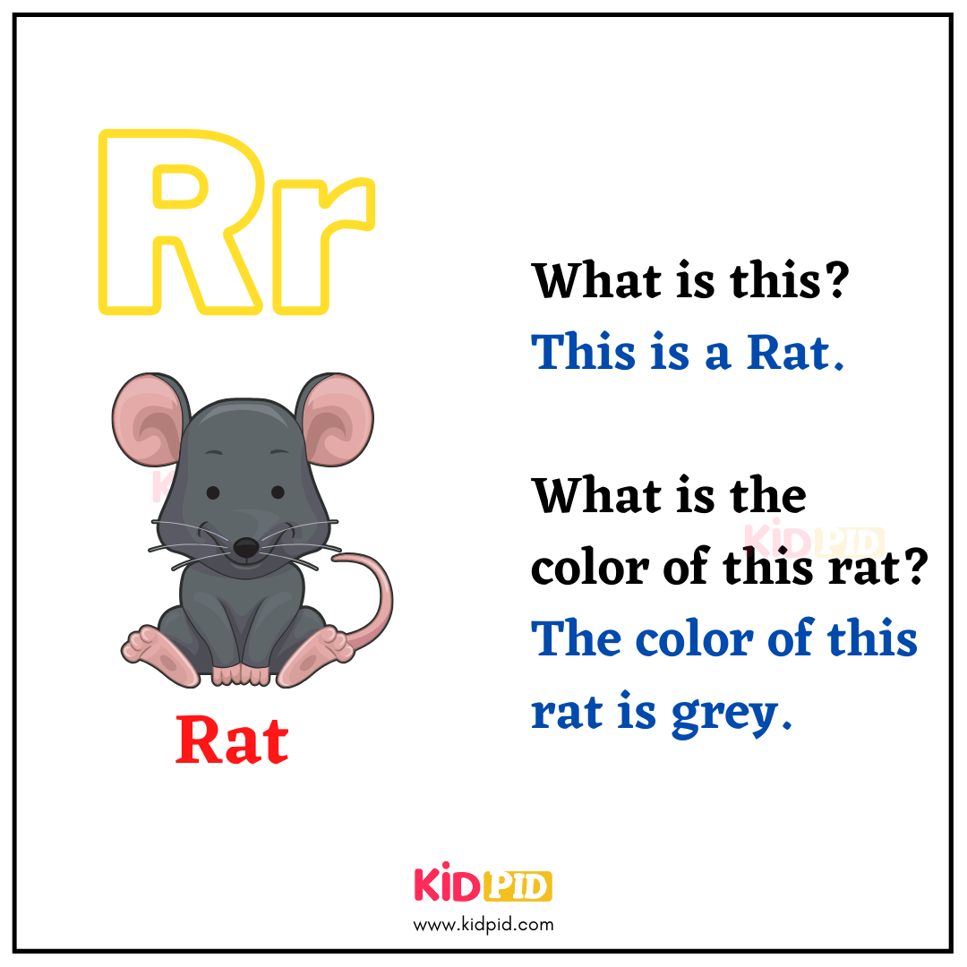R for Rat - Learn with Alphabets