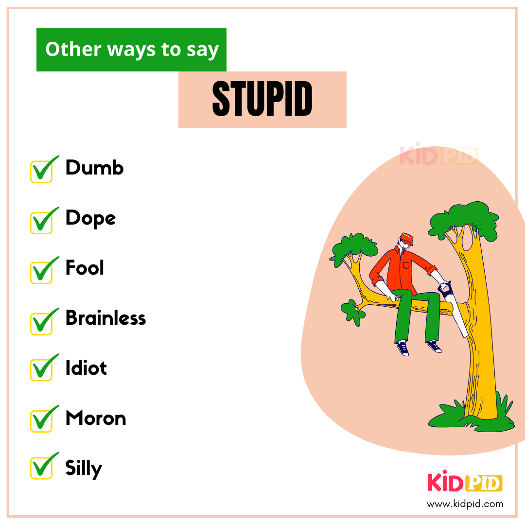Stupid - Synonyms Words - Same Word Many Slang