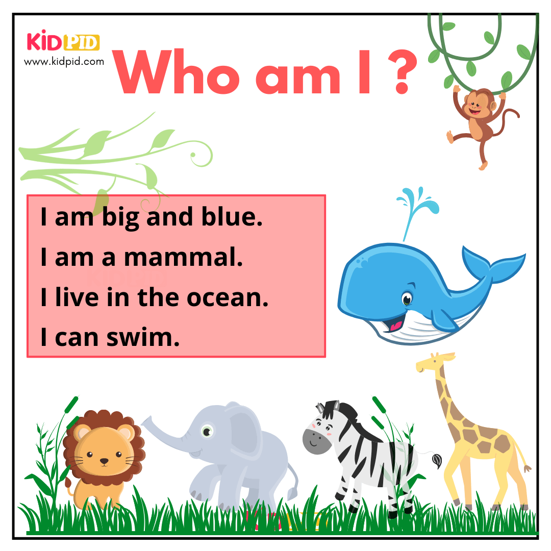 Whale - Animal Riddle
