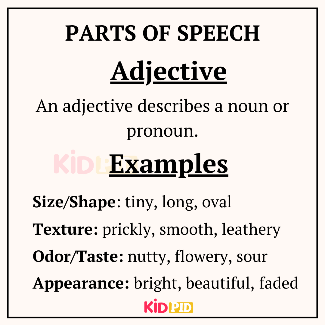 Adjectives - Parts Of Speech