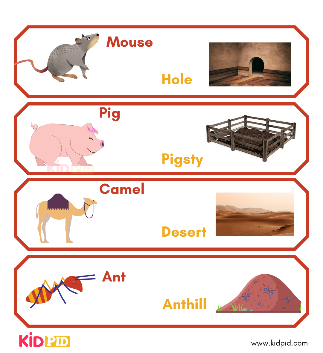 Animal Habitats (1)
