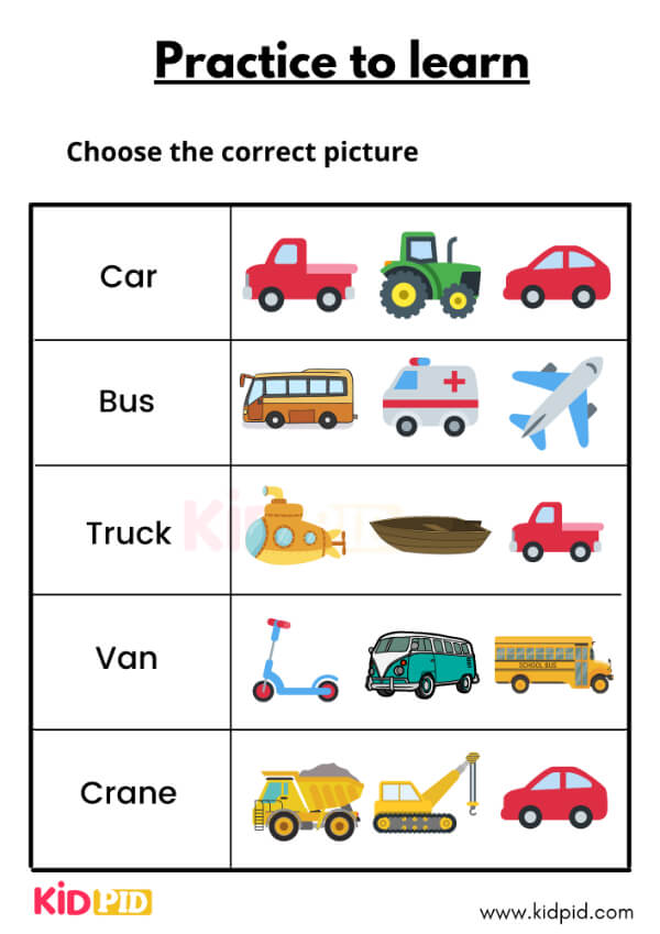 choose the correct picture-5