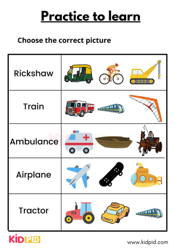 choose the correct picture-6