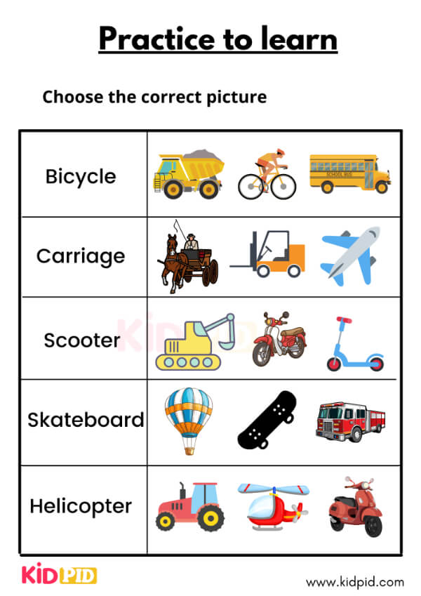 choose the correct picture-7