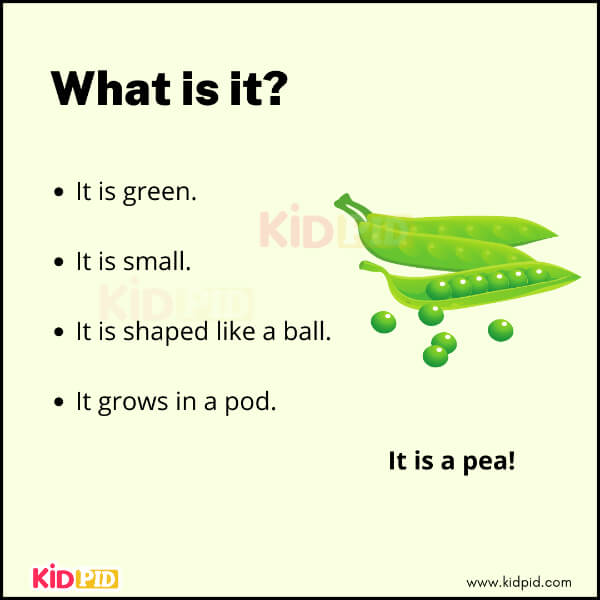 Vegetable riddle image for kids showing peas