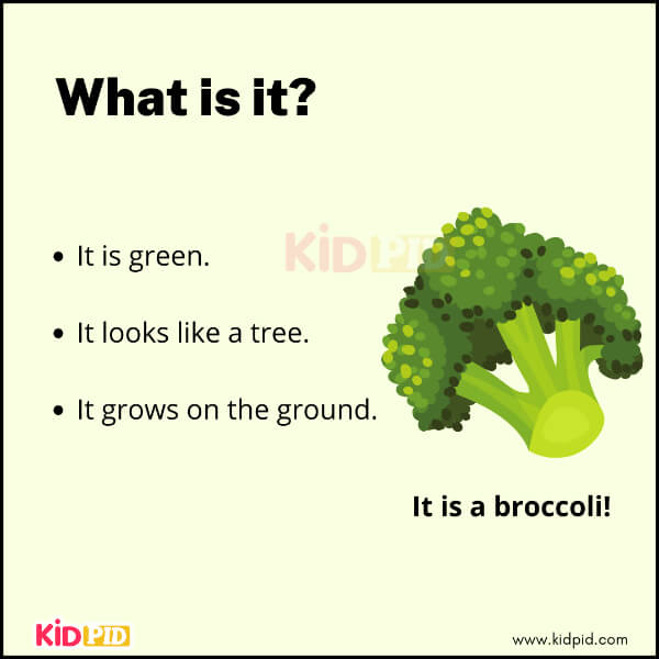 Broccoli vegetable riddle image for kids