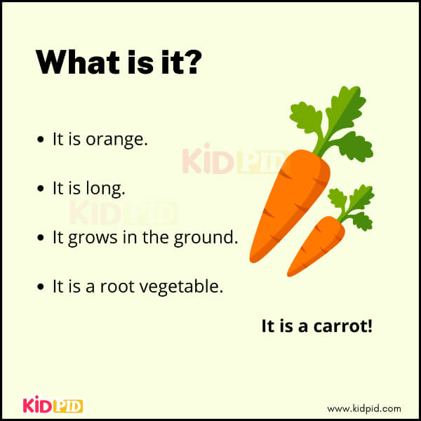 Carrot vegetable riddle for children