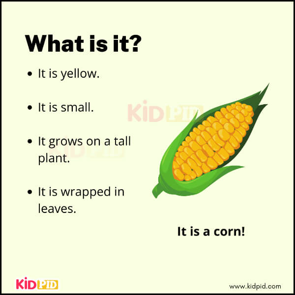 Riddle image for kids showing corn with clues