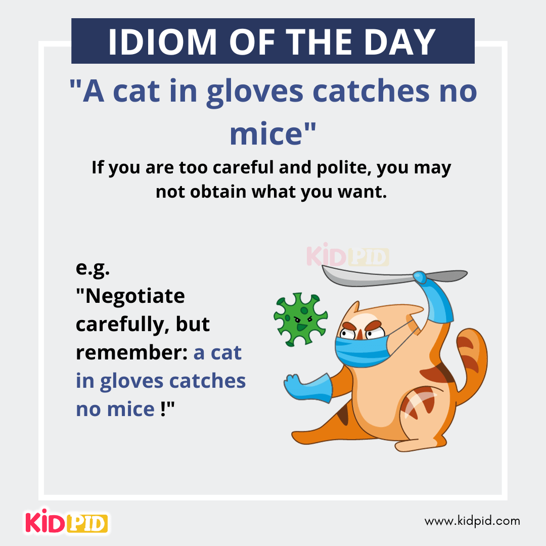 A cat in gloves catches no mice - English Idiom Meaning &amp; Examples