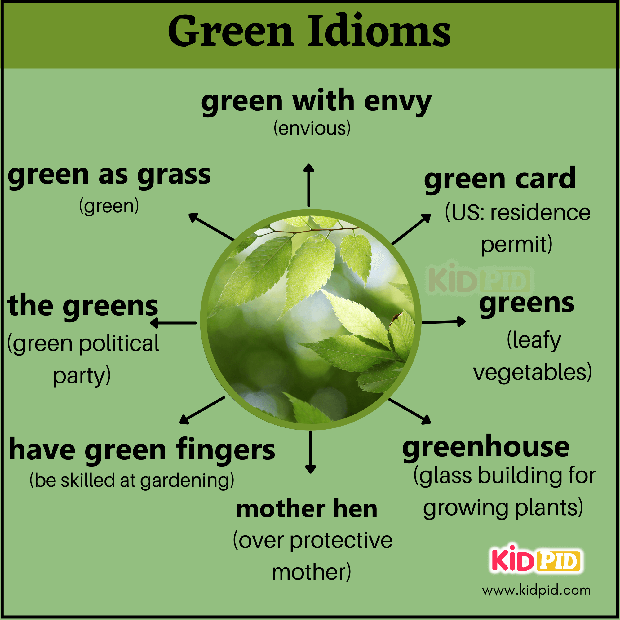 Green Idioms - Important Daily Vocabulary and Conversation