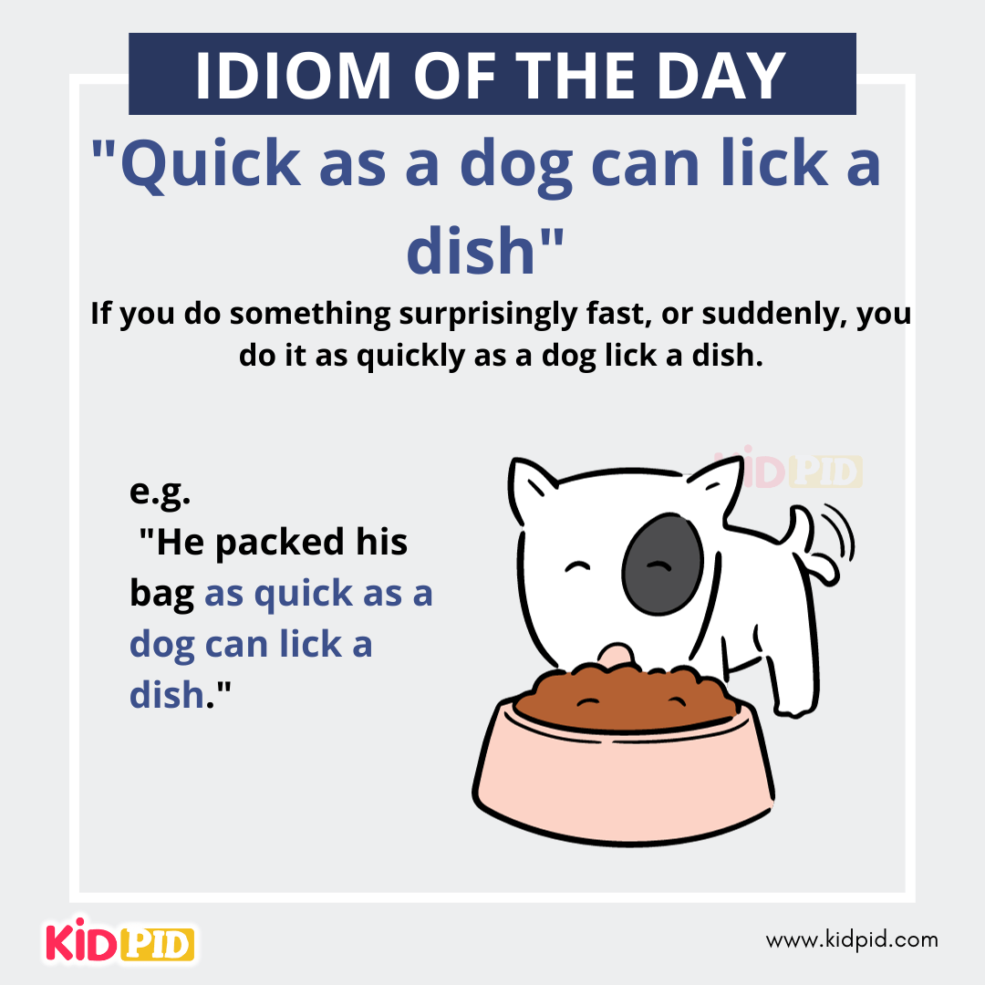 Quick as a dog can lick a dish - English Idiom Meaning &amp; Examples