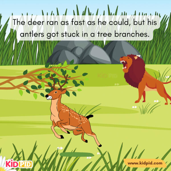 The Deer And His Antlers-10