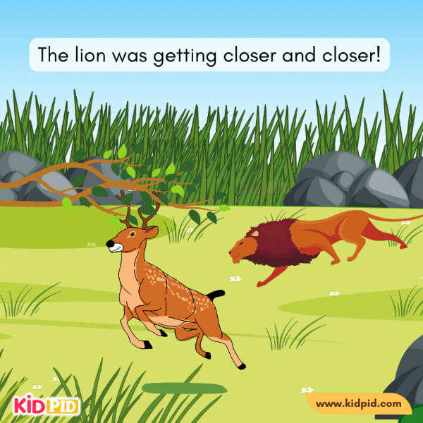 The Deer And His Antlers-11