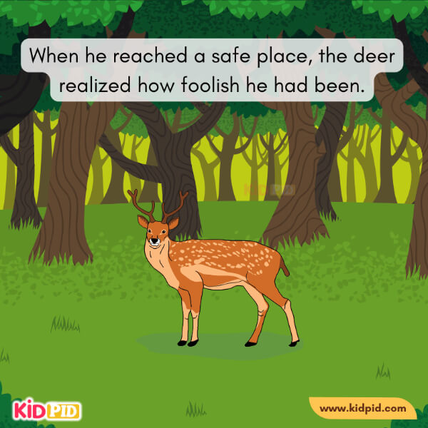 The Deer And His Antlers-15